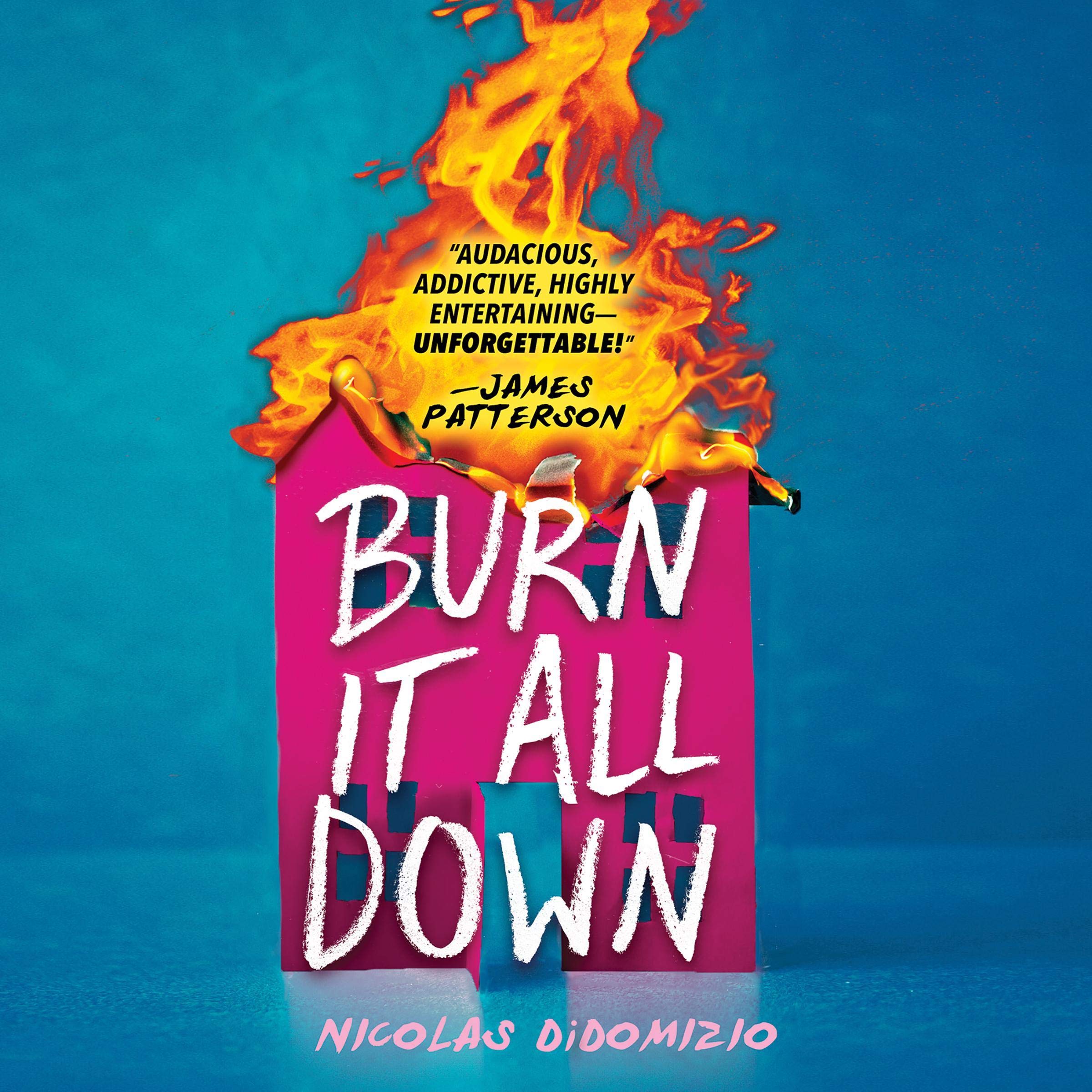 Cover art for Burn It All Down