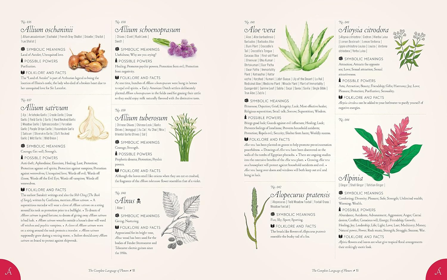 The Complete Language of Flowers: A Definitive and Illustrated History - Pocket Edition (Complete Illustrated Encyclopedia)