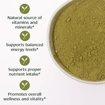 Banyan Botanicals Organic Moringa Powder Moringa Oleifera Superfood Powder and Natural Source of Vitamins & Minerals* 1/2lb Non-GMO Sustainably Sourced Vegan