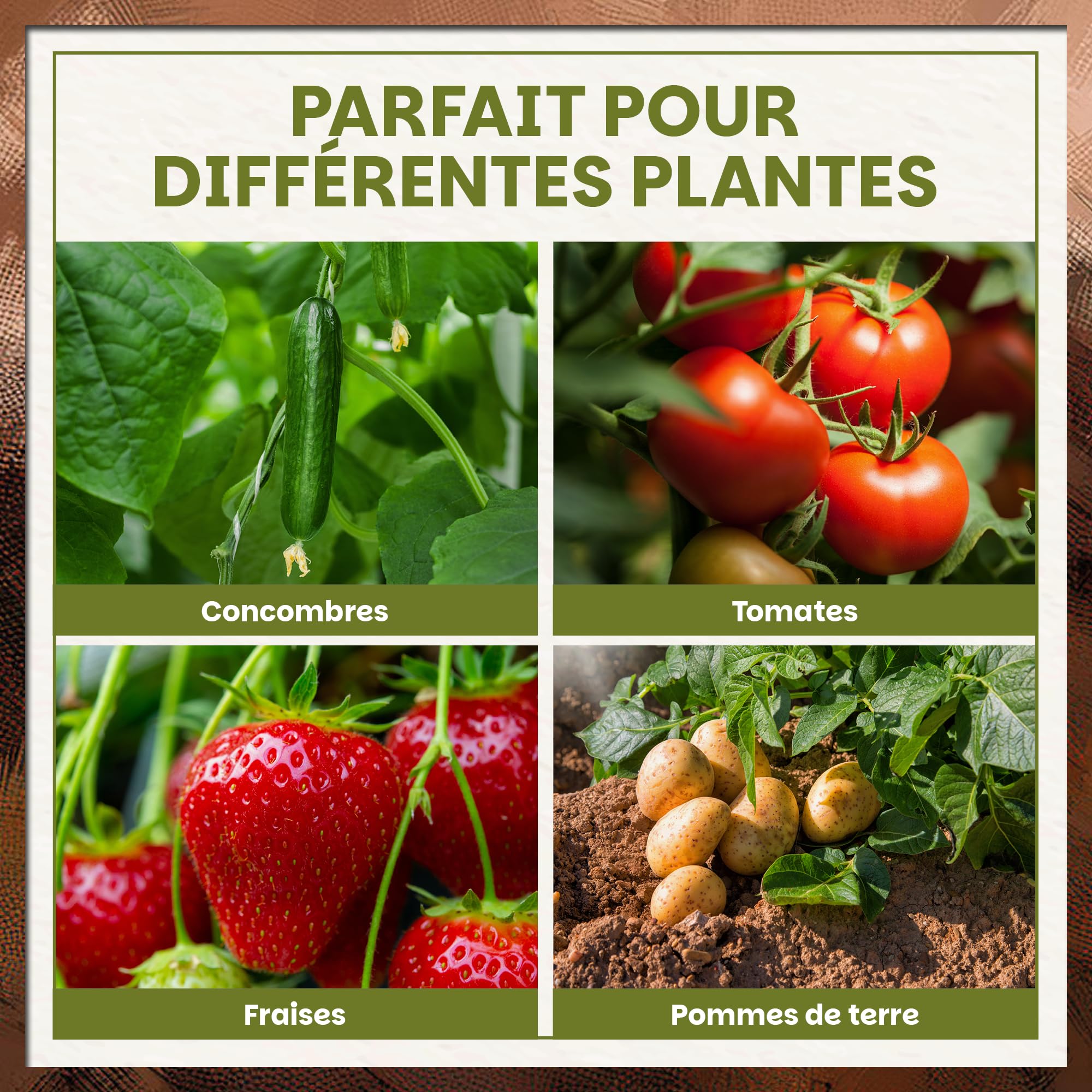 Sac de Plantation 18L – Lot de 10 Sacs de Culture en Tissu Respirant avec Poignées – Pots de Jardinage Réutilisables pour Légumes, Herbes et Fleurs – Idéal pour Balcon, Terrasse et Jardin