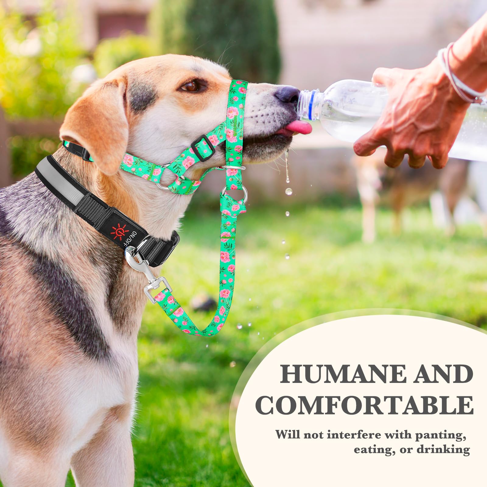 Collar de cabeza de perro sin tirones, cuello halter antitirones para perros medianos, diseño acolchado ajustable para dejar de tirar de la correa, fácil control de entrenamiento para caminar