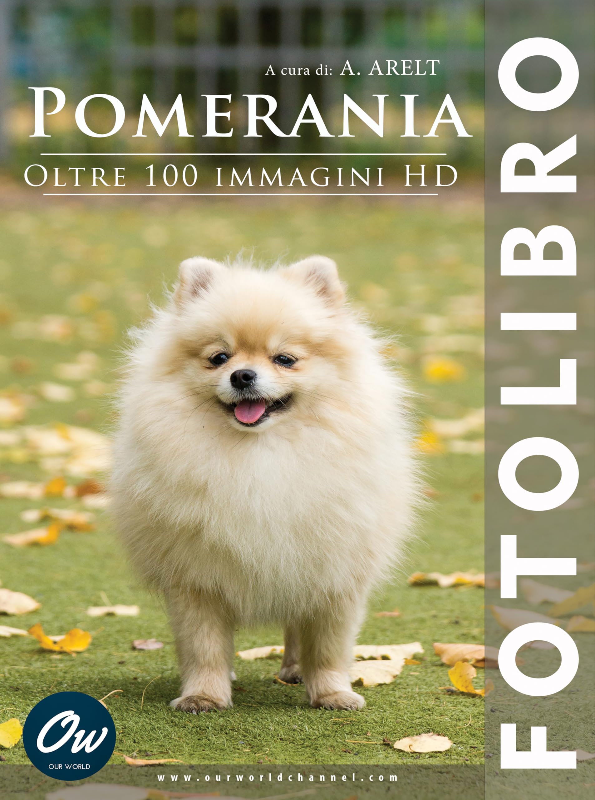 Pomerania fotolibro italien : album photo de spitz nain avec 100 images HD
