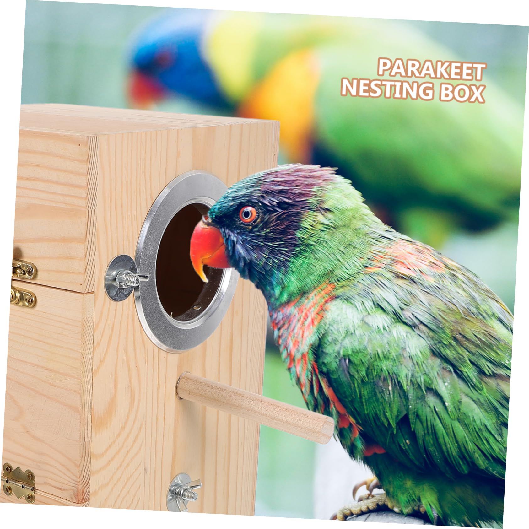 Parakeet Nistkasten Aus Holz Robuste Vogelzuchtbox Für Wellensittiche Und Papageien Für Garten Und Balkon Pflegeleicht Und Sicher Für Ihre Vögel