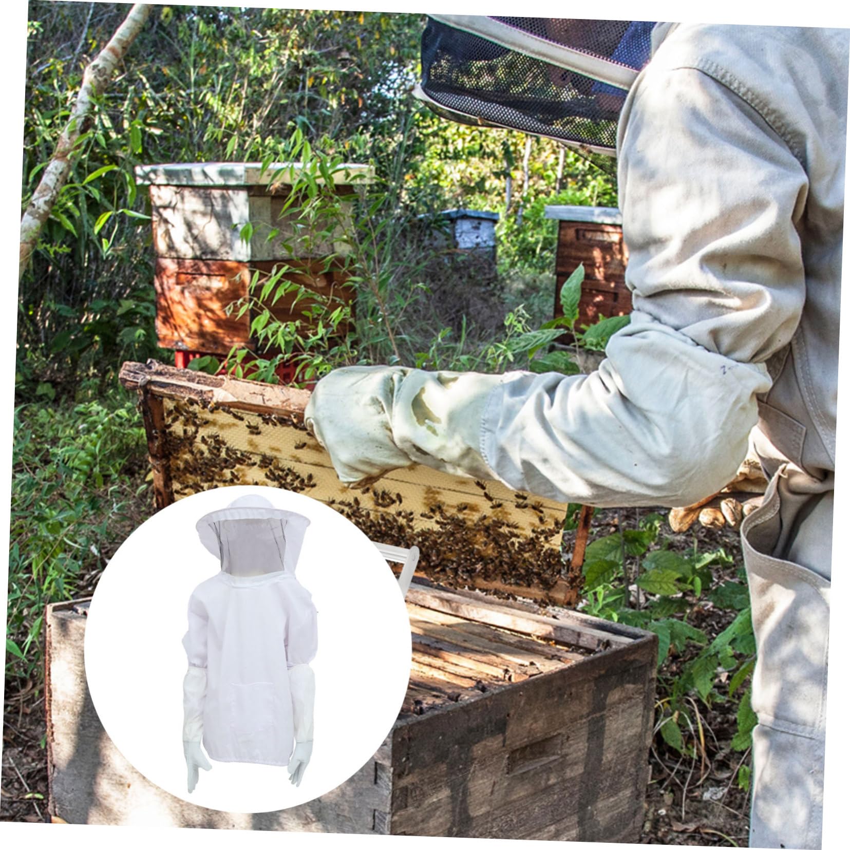 Set Di Attrezzatura Da Apicoltura Guanti Da Apicoltore Tuta Da Lavoro Cappello Protettivo Abbigliamento Per Apicoltura Forniture Essenziali Per Apicoltori