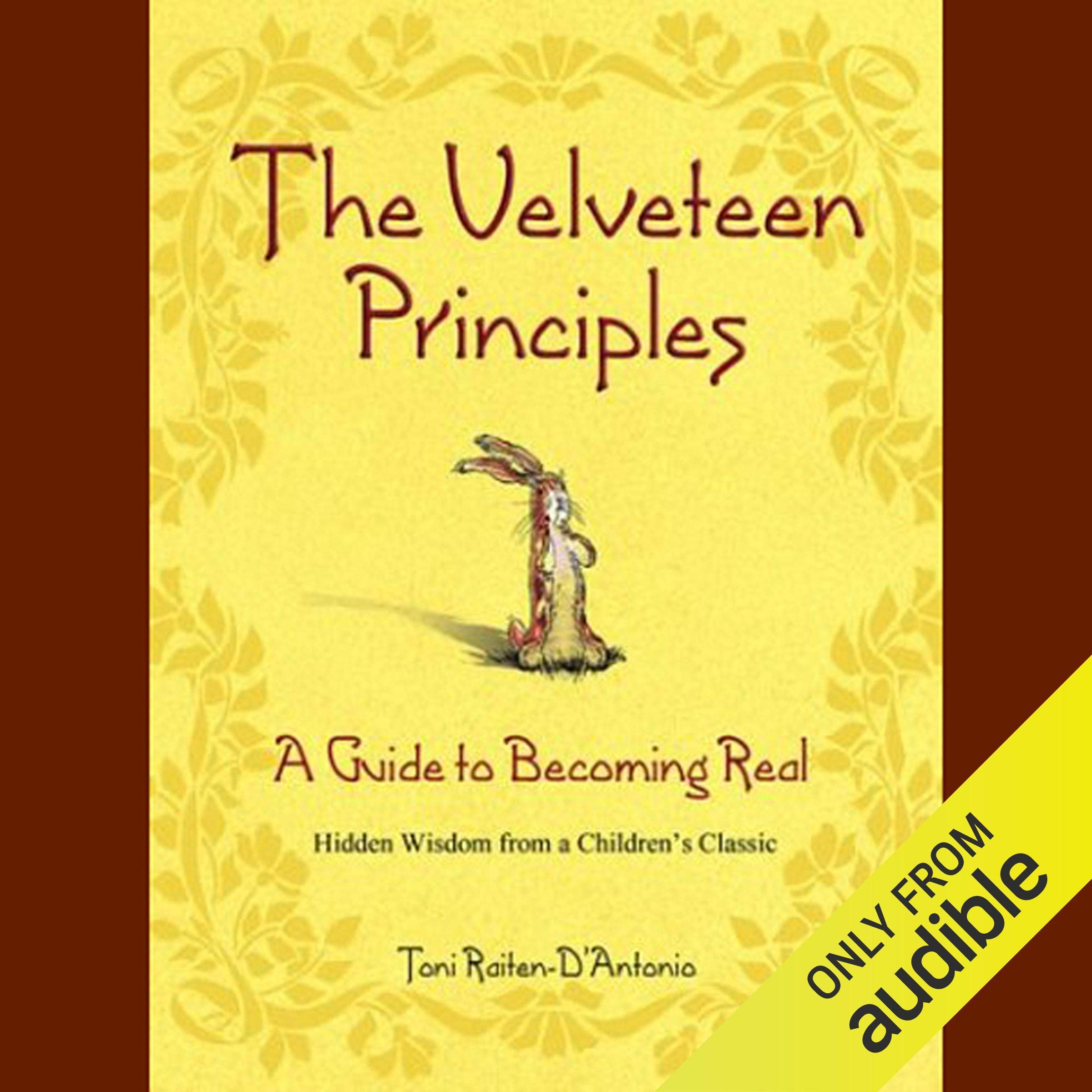 Cover art for The Velveteen Principles