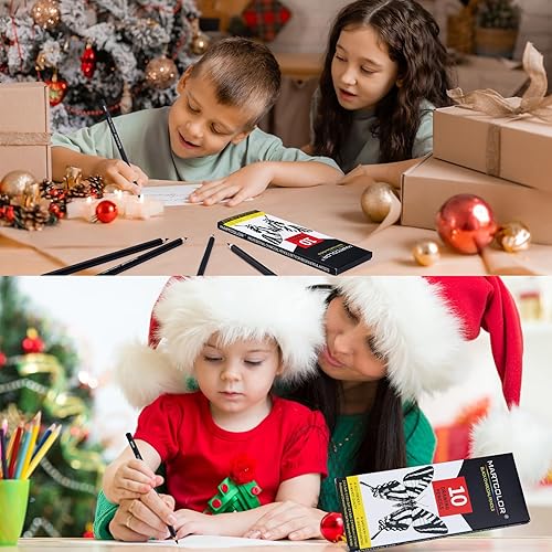 Miniatura 7 de MARTCOLOR Lápices de carbón para dibujar, 10 piezas (S-suaves, Ex-suaves, suaves, medianos y duros) lápices de carbón para bocetos, sombreado, mezcla