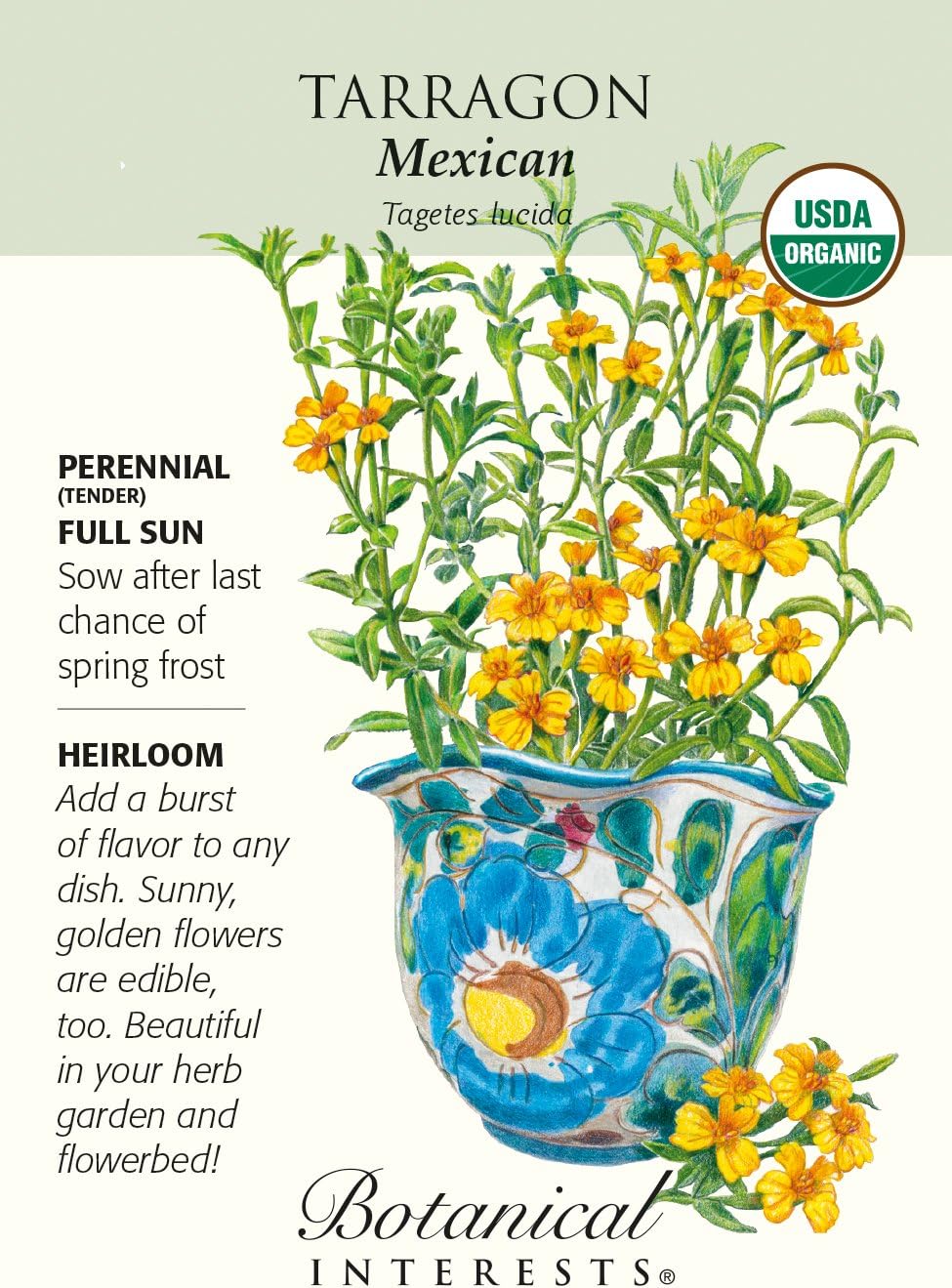 Botanical Interests, Seed Tarragon Mexican Organic