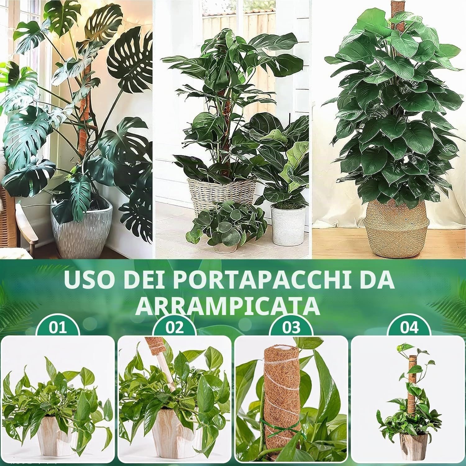 5 Pezzi Palo per Fibra di Cocco per Piante, Monstera Rampicanti Supporto estendibile fino a 160 cm, Bastone Muschiato, Ostegno Piante Rampicanti Cocco per Casa Giardino