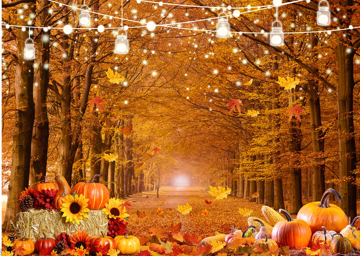 Amazon | Dudaacvt 8x6フィート 秋 背景 秋 感謝祭 背景 秋 写真 背景