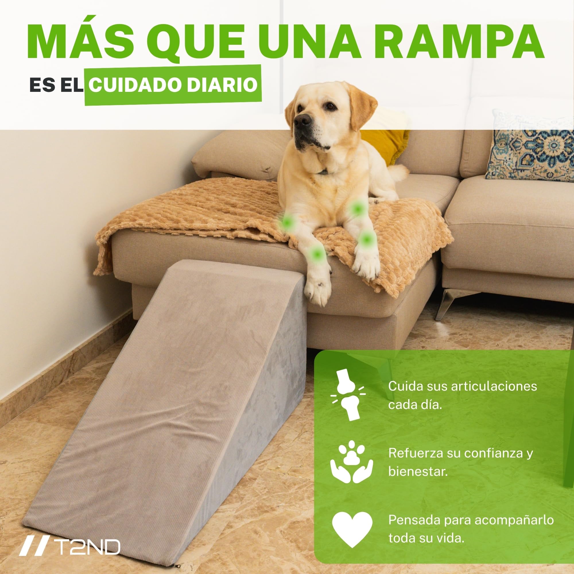 Rampa para Perros Sofá y Cama, Escalera para Perros Pequeños y Grandes, Escalera para Mascotas, Funda Extraíble y Lavable, Base Antideslizante, 40 cm de Alto