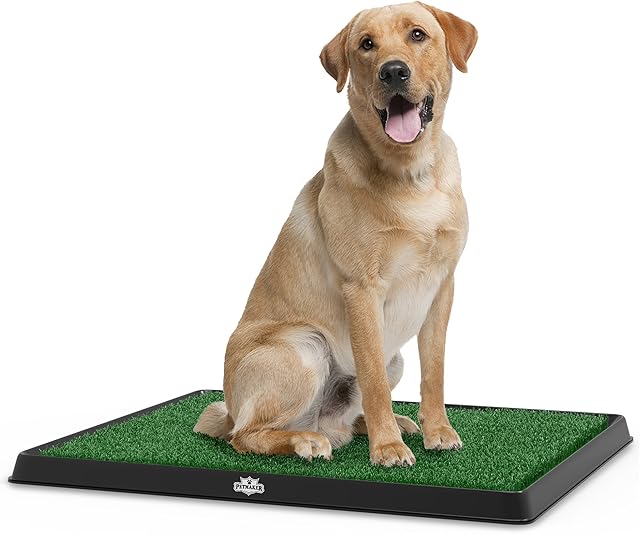 Artificial Grass Puppy Pee Pad for Dogs and Small Pets - 20x25 Reusable 3-Layer Training Potty Pad with Tray - Dog Housebreaking Supplies by PETMAKER, Green
