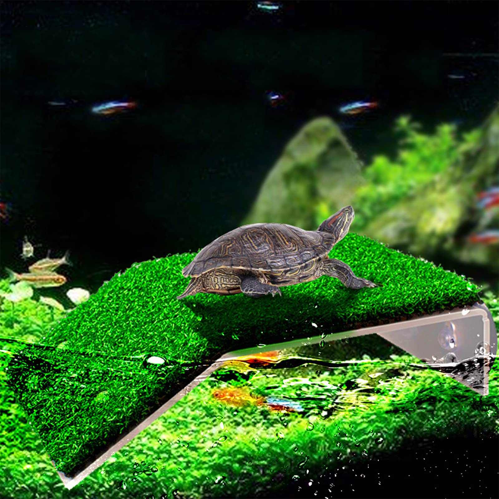 Piattaforma Galleggiante Per Tartarughe Con Ventose - Isola Per Prendisole In Acquario Con Erba Sintetica