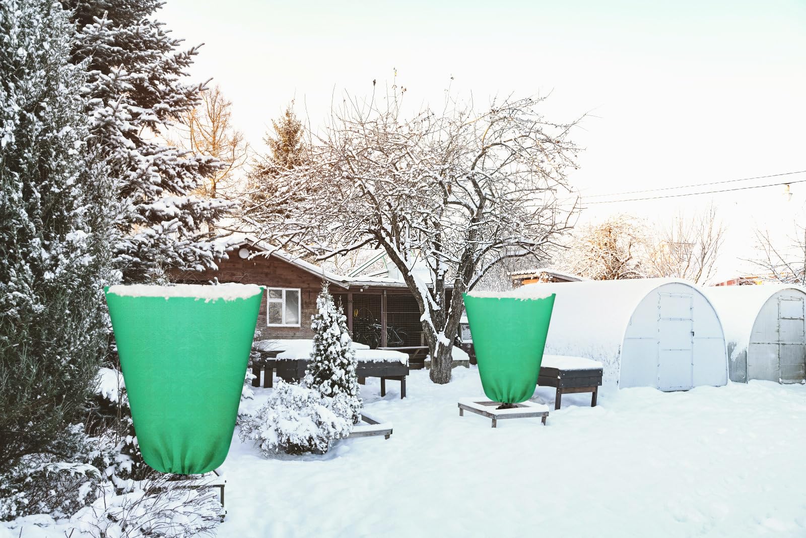 2 Pcs Housses d’Hivernage pour Plantes, 80 x 120 cm, Voile Hivernage 70 g/m² avec Fermeture Éclair et Cordon de Serrage, Protège Contre Le Gel, Le Vent et Les Oiseaux, Réutilisable