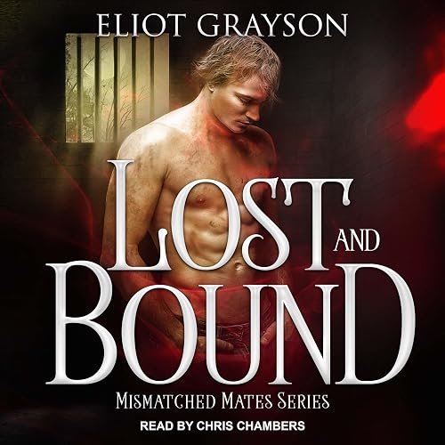 Lost and Bound: Mismatched Mates Series, Book 4 (Unabridged)