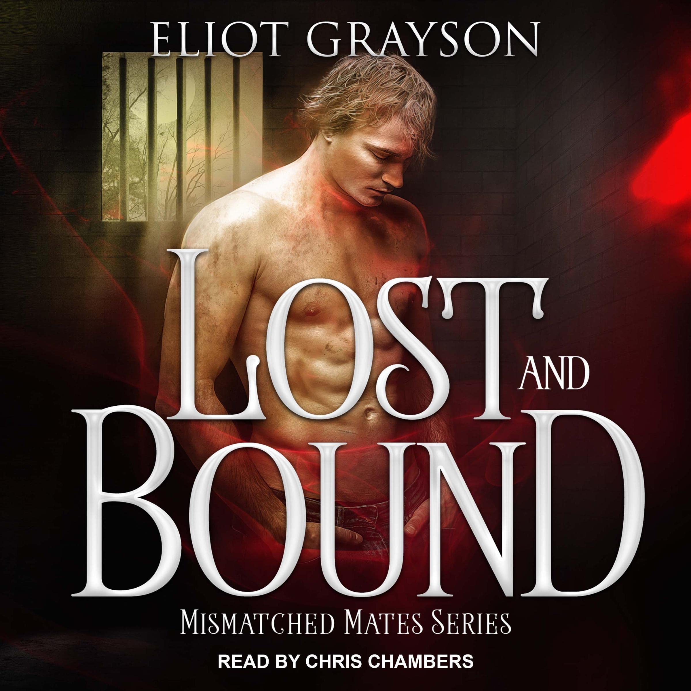Cover art for Lost and Bound