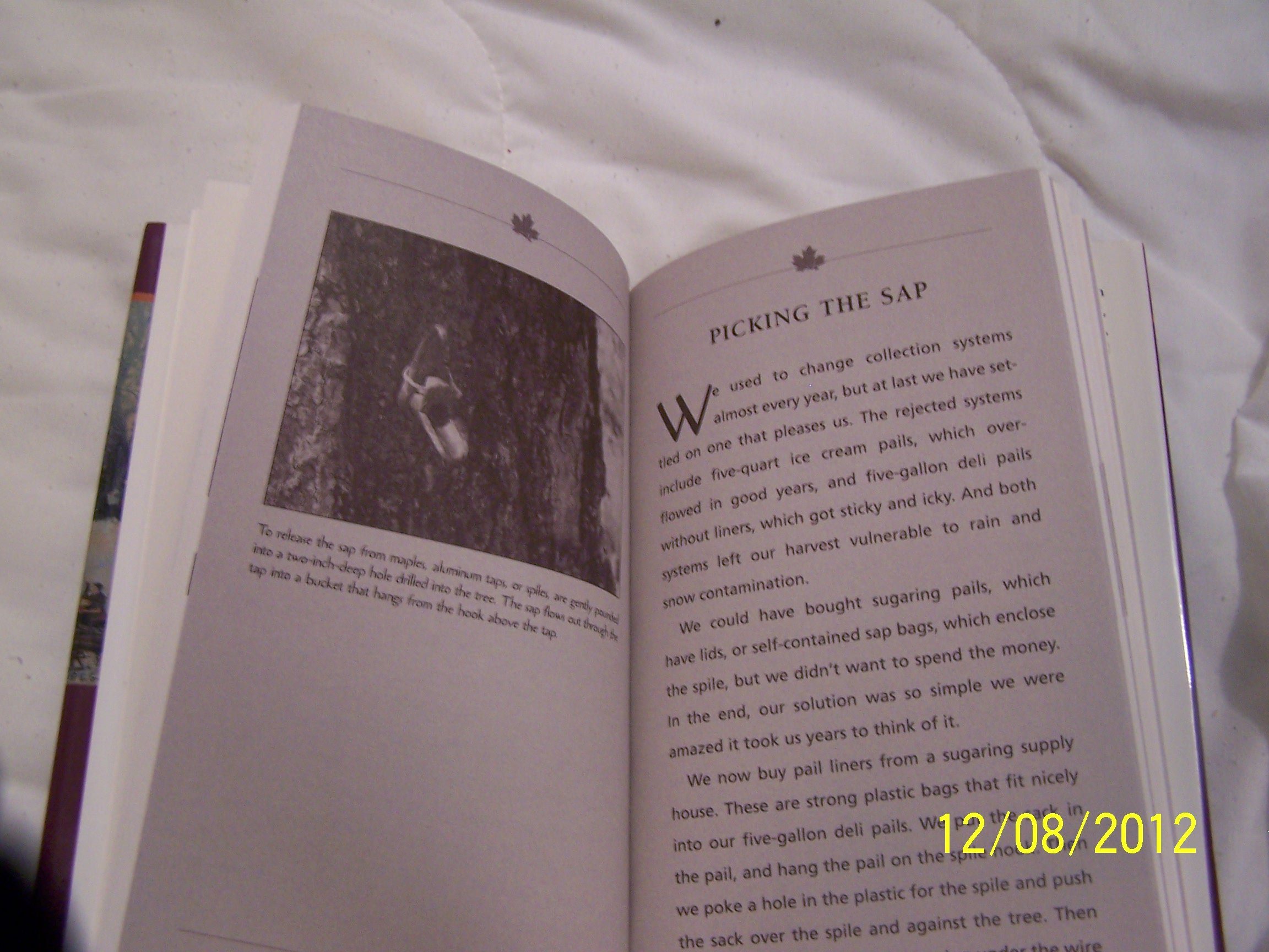 Sugartime: The Hidden Pleasures Of Making Maple Syrup Hauser, Susan Carol - PT08