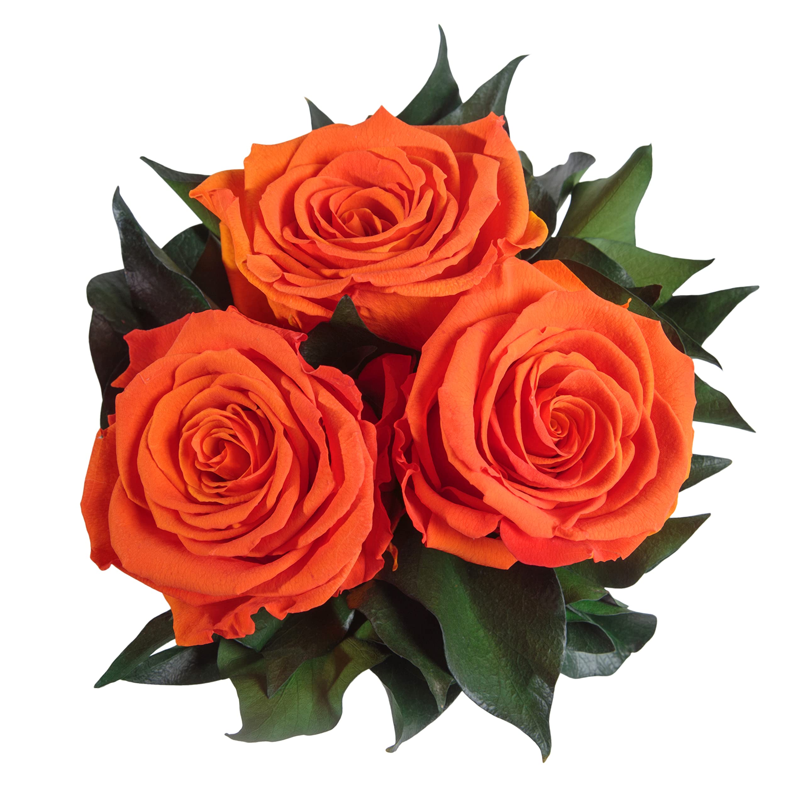 Infinity Rosenbox weiß rund konservierte Blumen Orange - 3 Infinity Rosen Durchmesser 15 cm - Lieblingsmensch Geschenk (Orange, Medium)