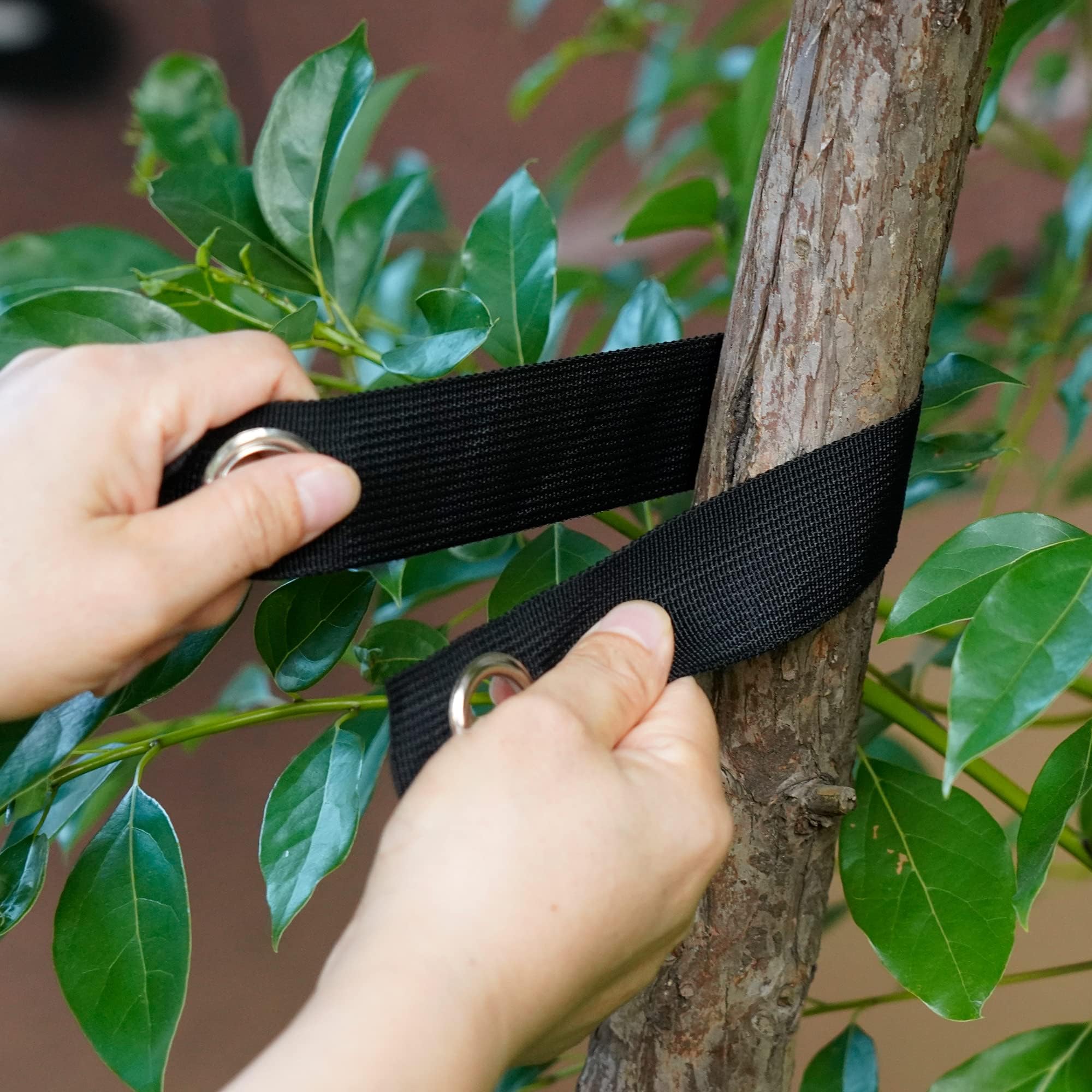 Sangles de Soutien pour Arbre avec œillets, 6 Pièces Sangles d'arbre, Attaches pour Arbres, Sangle Arbre Tuteur pour Jeunes Arbres Nouvellement Plantés et Protection Contre Les Ouragans