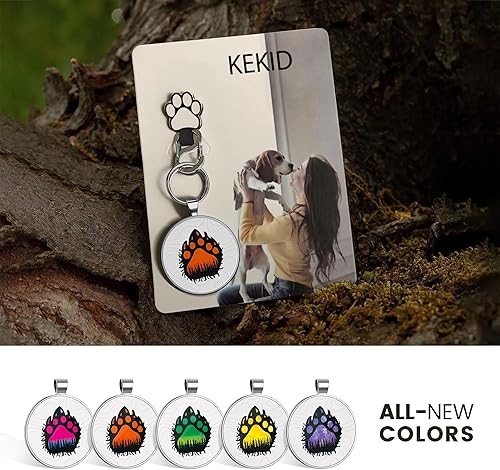Miniatura 6 de Etiquetas de identificación de perro QR Clip para mascotas Etiqueta de collar personalizada Etiquetas de identificación inteligente para mascotas