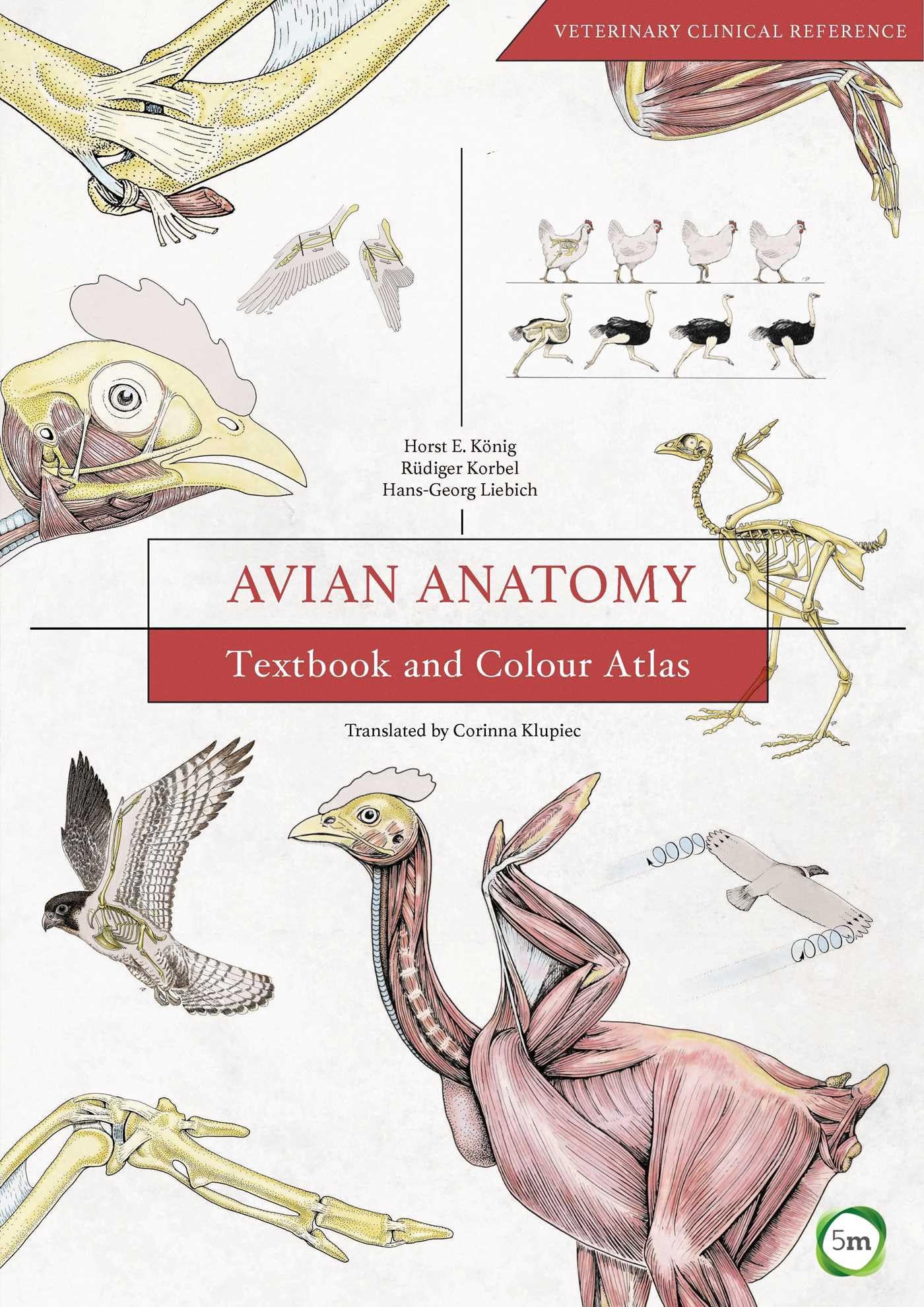 Avian Anatomy: Textbook and Colour Atlas (Veterinary Atlases)