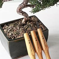 Vista 3 de Wazakura Kit de cincel de bonsái de 3 piezas con gubias redondas, bisel único sesgado y herramienta de separación en V, juego de herramientas