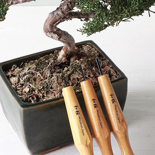 Miniatura 3 de Wazakura Kit de cincel de bonsái de 3 piezas con gubias redondas, bisel único sesgado y herramienta de separación en V, juego de herramientas de