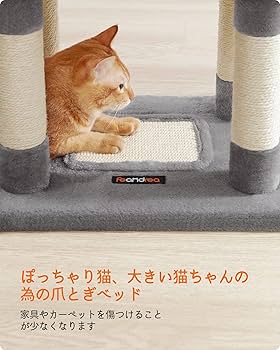 ネコさん専用 41wAsuNuxQL._UF350,350_QL50_.jpg