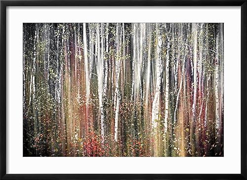 Miniatura 59 de ART.COM Lienzo decorativo para pared, diseño de otoño rosa, de Ursula Abresch, decoración escénica, 18 x 12 pulgadas Lienzo estirado