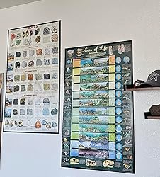 Amazon.com: (24x36) Introduction to Rocks Geology Educational Science ...