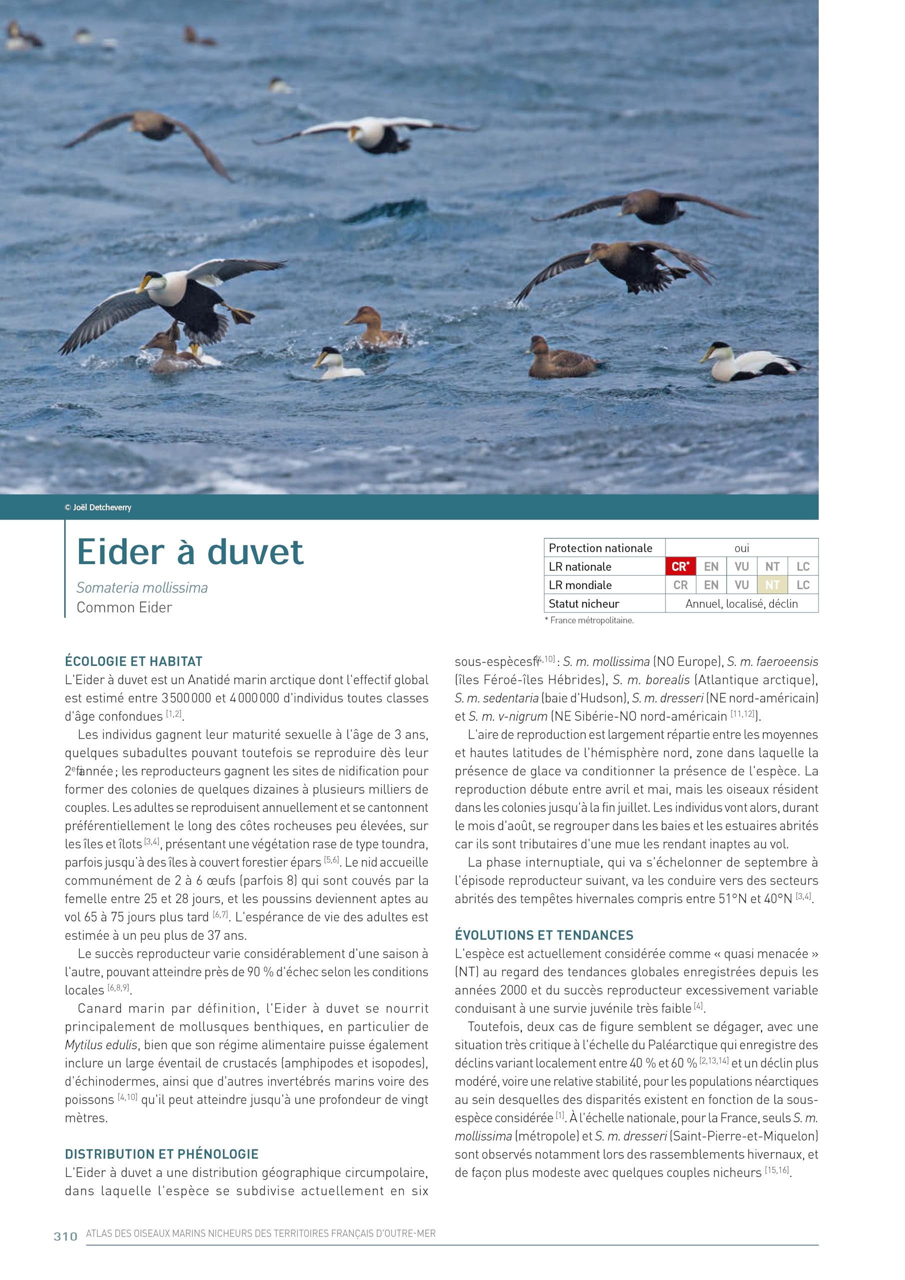 Atlas des Oiseaux marins nicheurs des territoires français d'Outre-mer