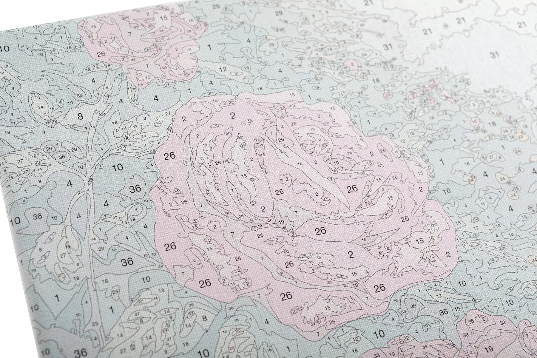 Craft Buddy Paint-by-Number 12