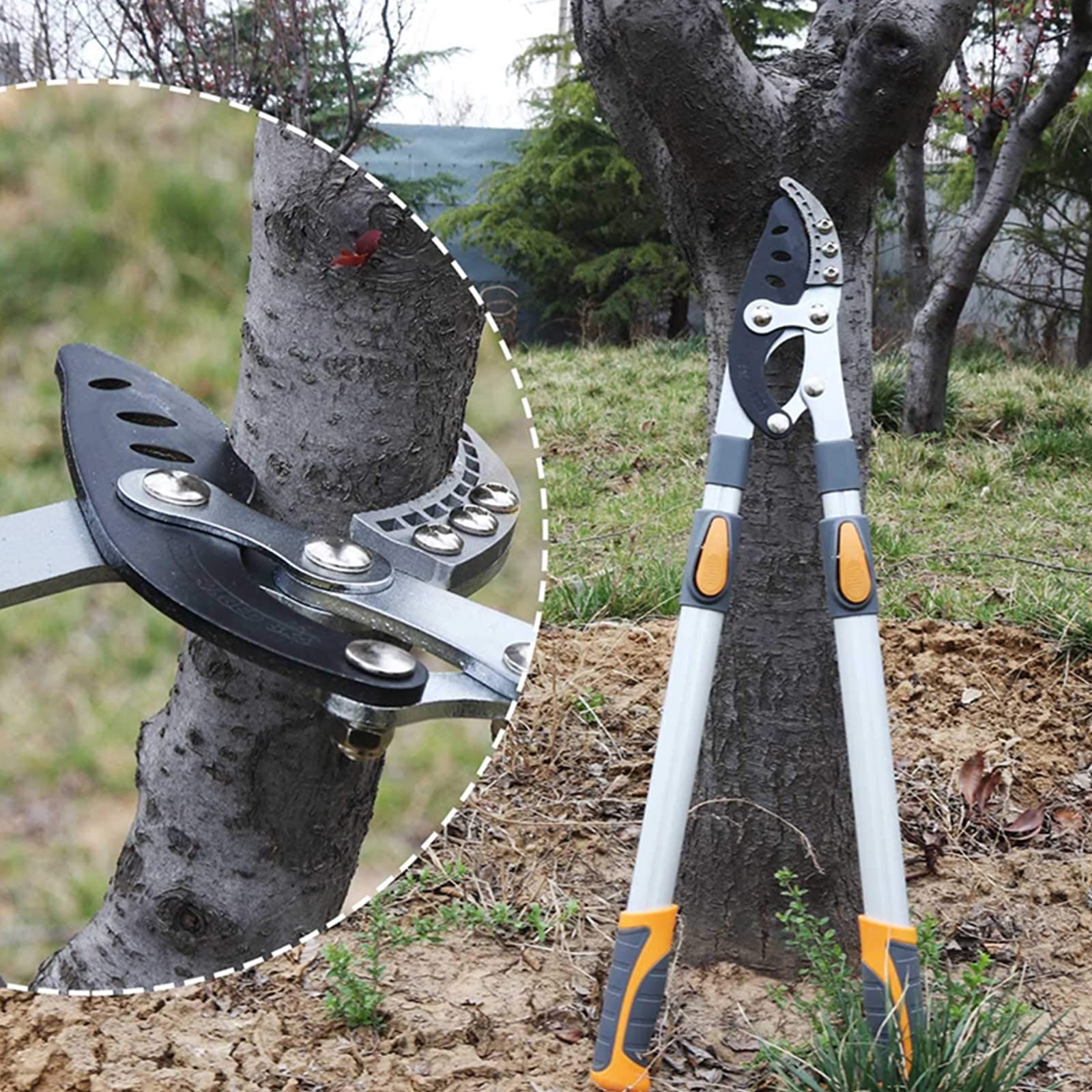 Tijeras De Podar Telescópicas 72-104CM, Tijera De Jardinería Fabricada Corta Ramas Menos De 60MM, Cuchilla De Acero SK-5 Y Recubiertas De Teflón, Corte Bypass De Yunque Profesional