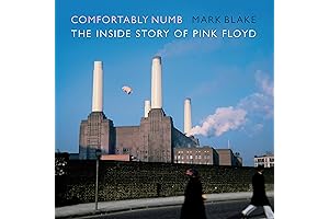 Comfortably Numb: The Inside Story of Pink Floyd's Masterpiece