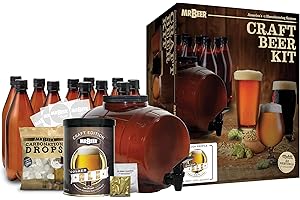 Mr. Beer: Beer-Making in Two Gallons