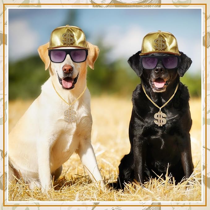 Set de 3 Piezas Hip Hop Dólar para Perro, Disfraz Ajustable para Fiestas miniatura 7