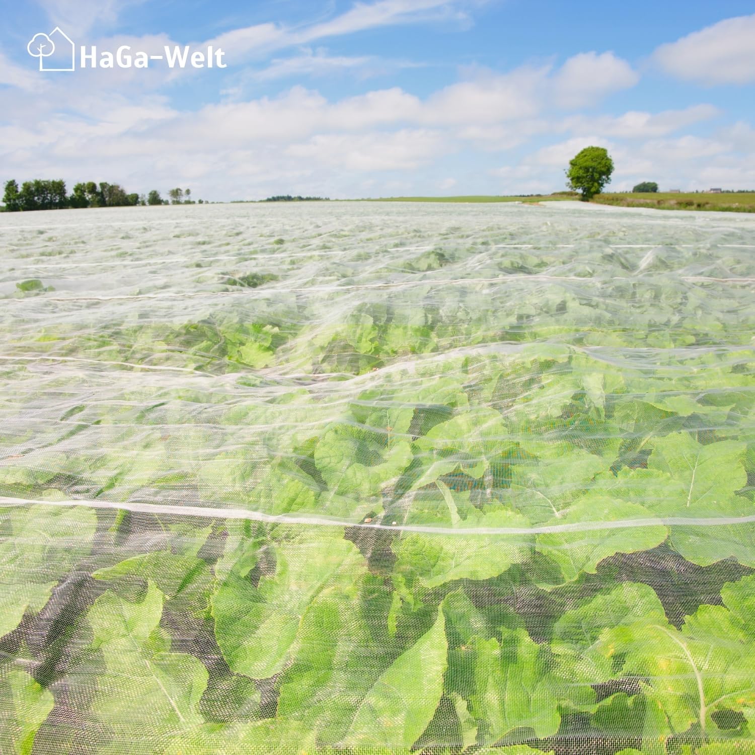 HaGa Abdeckvlies 19g/m² in 1,6m x 100m - Frostschutzvlies für Pflanzen - atmungsaktives Frühbeet Vlies - Für Abdeckungen von Hochbeeten