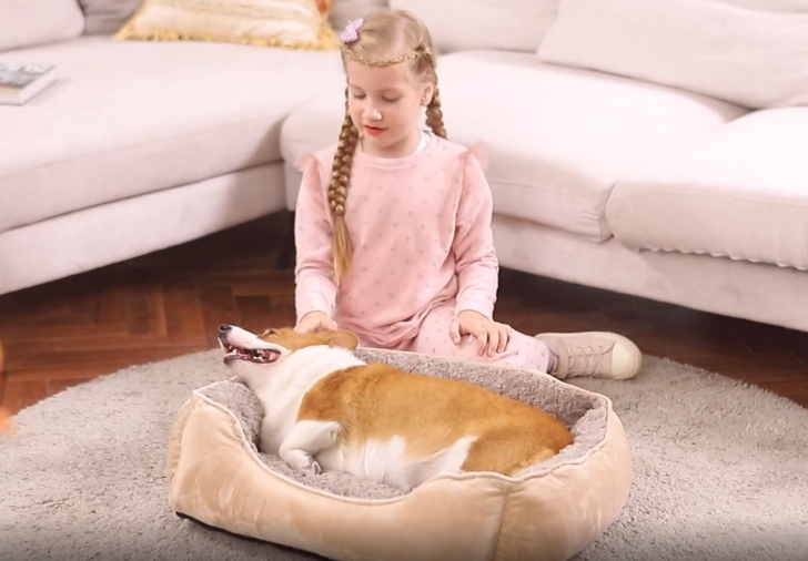 JoicyCo Hundebett Weich, 91,4 Cm, Rutschfeste Unterseite, Waschbar, Für Mittelgroße Hunde