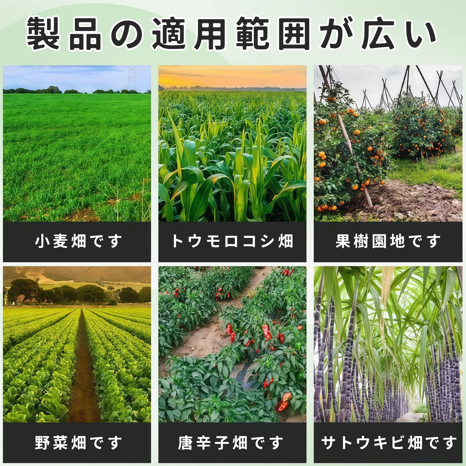 Amazon | 苗移植機 ハンドヘルド種まき機 立ったまま作業できる