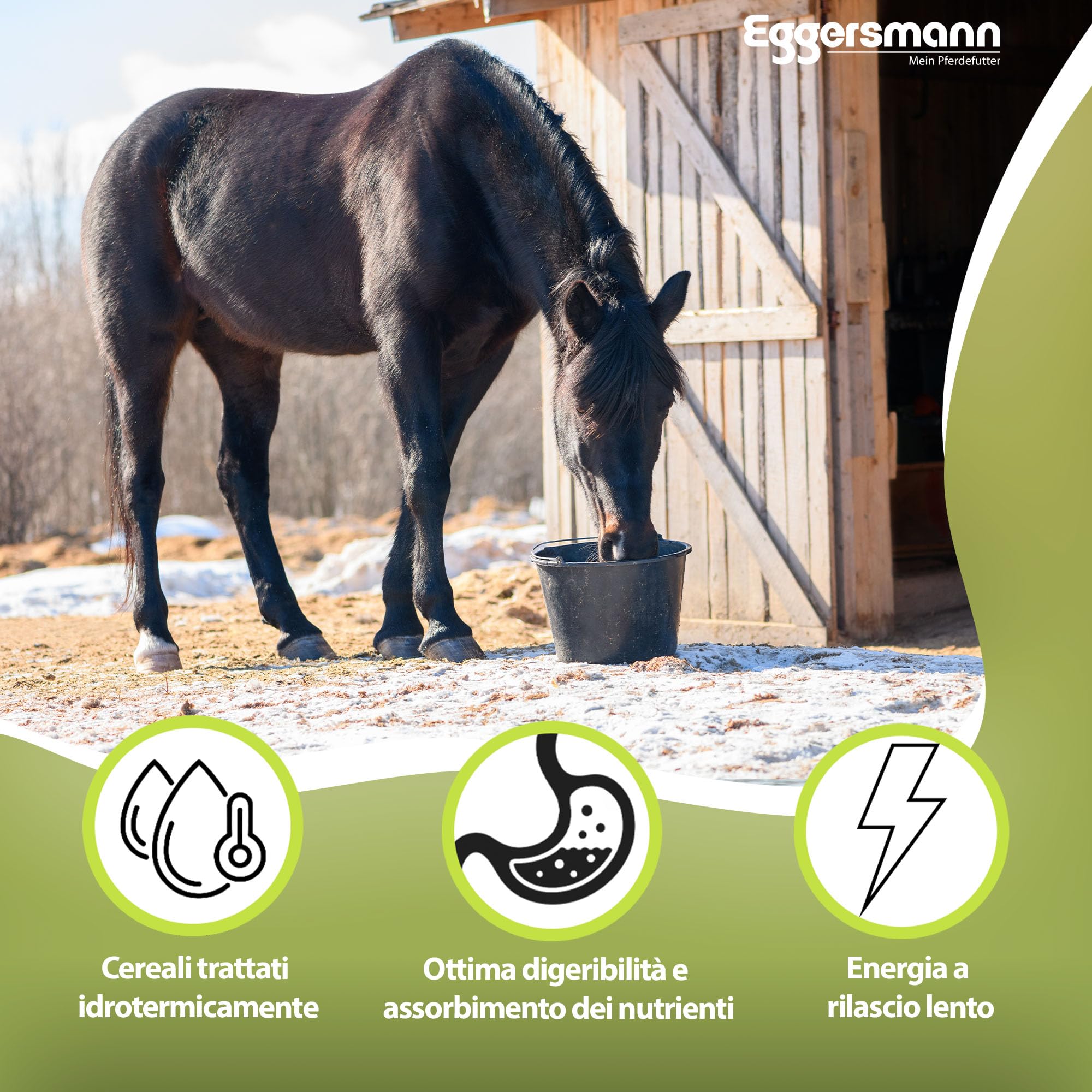 Eggersmann Fiocchi d'orzo 15 kg – Mangime Singolo ad Alto Contenuto energetico – Fiocchi d'orzo Adatti per Cavalli, Pony, polli e Piccoli Animali – Ideale per intolleranza all'avena