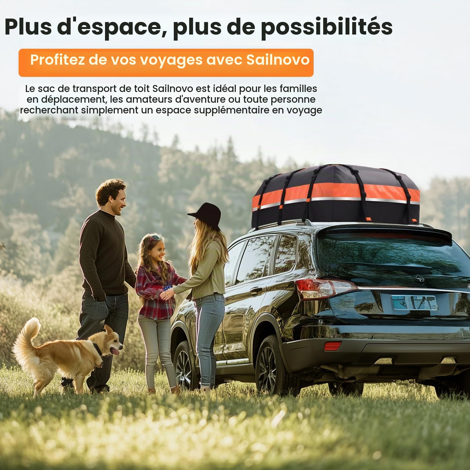 Sailnovo Coffre de Toit de véhicule Étanche Sac de Toit Voiture pour Voyage Résistant aux Intempéries avec Tapis Antidérapant, 6 Crochets de Porte et Cadenas à Combinaison, 590L 1000D PVC