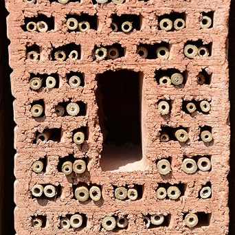 50pcs Outdoor Reed Bee Tubes for Mason Bees Natural Beige Reed Material Provides Comfortable Habitat Multi-function Nesting Tubes Suitable for Garden Use