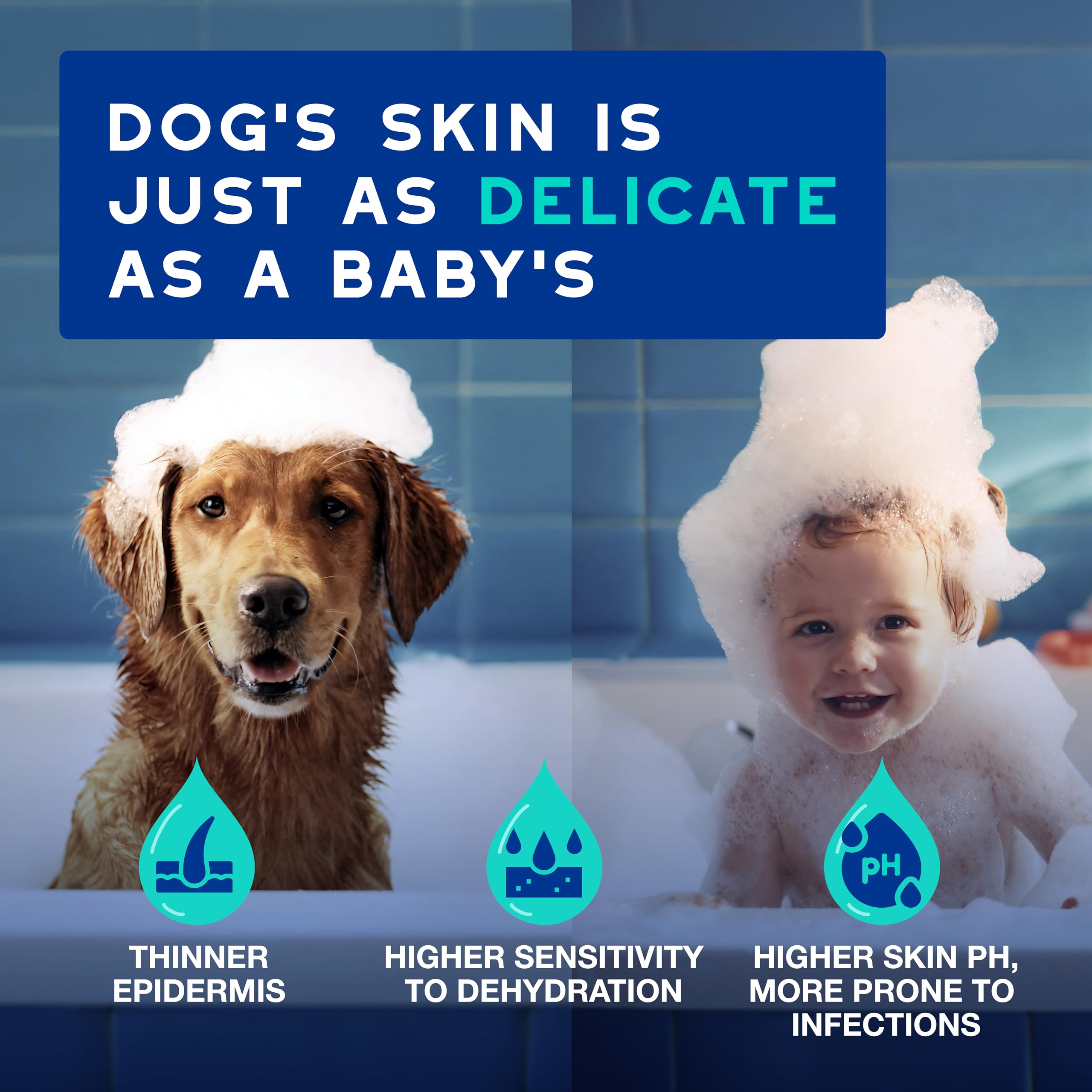 Douxo Spa, Odour Control Dog Shampoo for Smelly Dogs 250 ml, Cleans & Hydrates the Skin, Removes Odour - Image 3