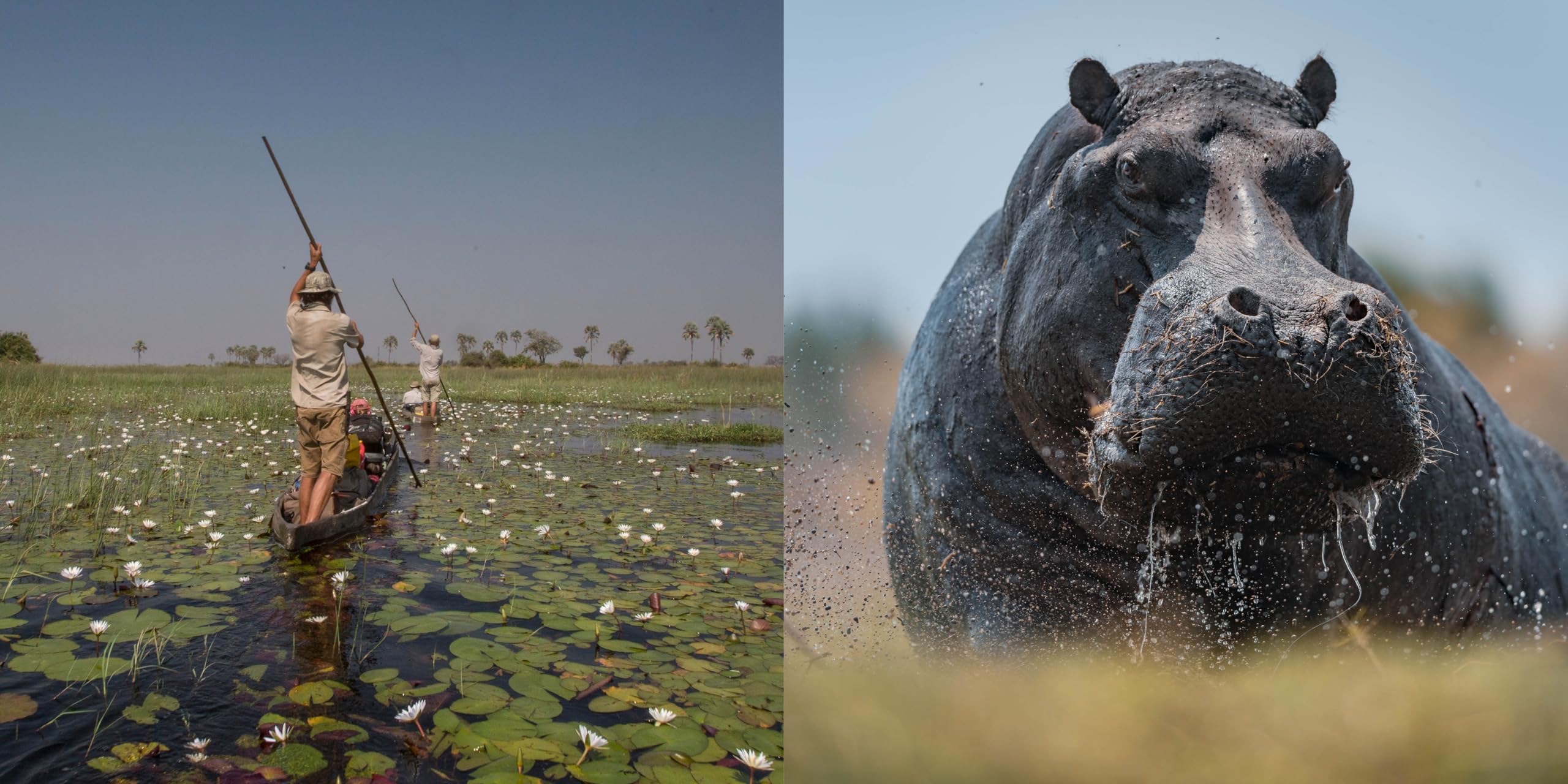 Okavango and the Source of Life: Exploring Africa's Lost Headwaters