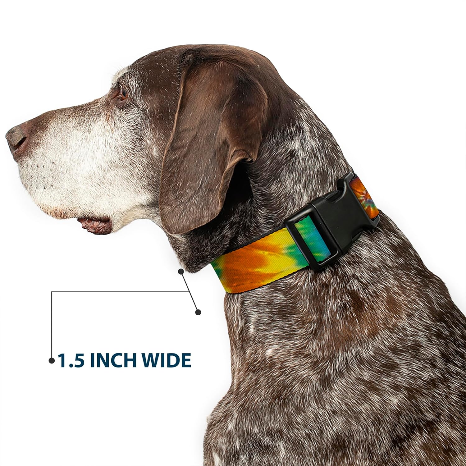 Buckle-Down Plastic Clip Collar - Tie Dye Swirl Multi Color - 1.5" Wide - Fits 18-32" Neck - Large