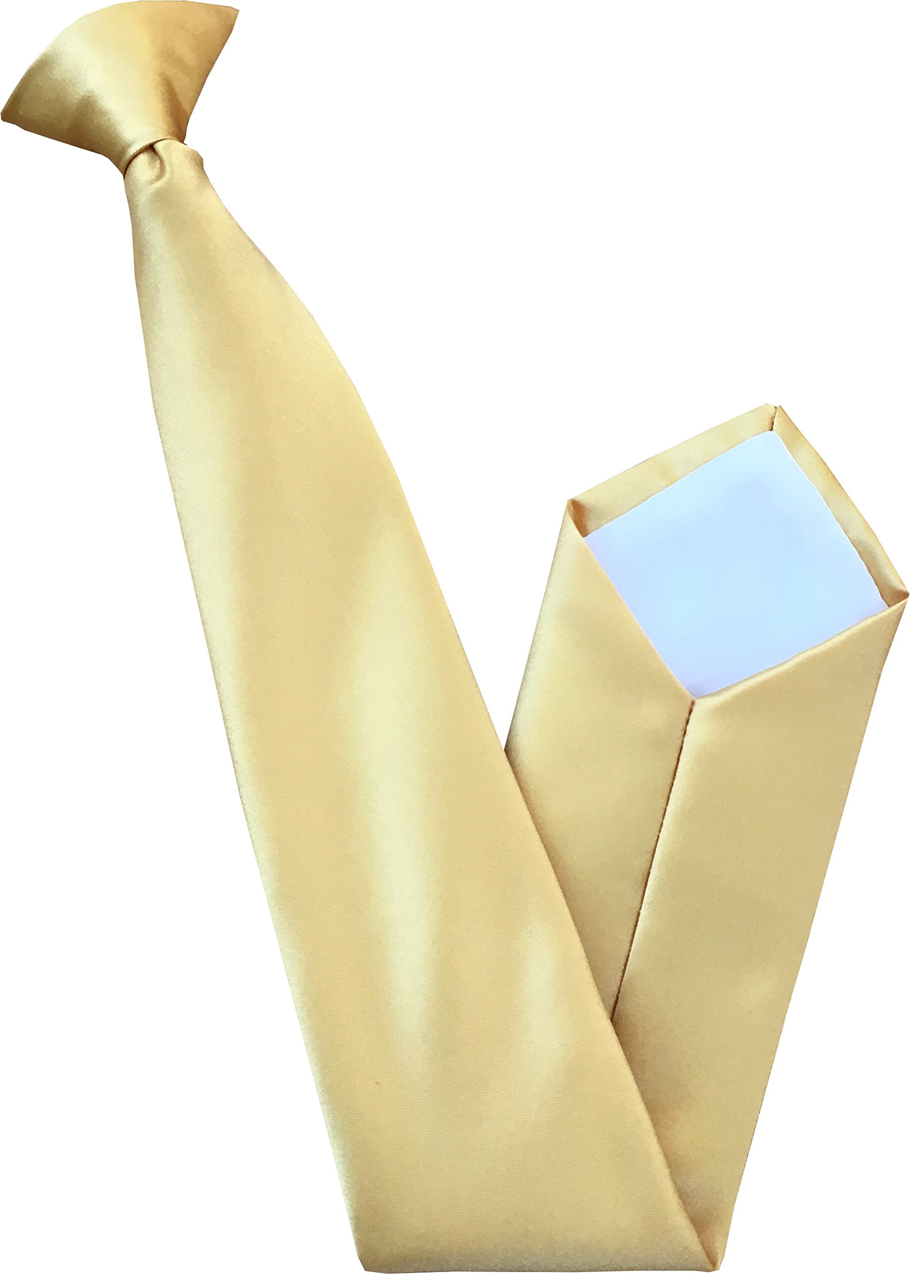 Great British Tie Club Men's Gold Satin Clip On Ties,