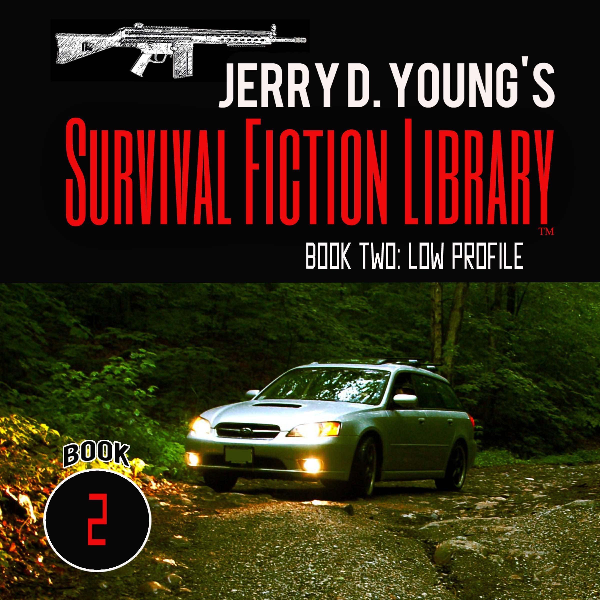 Cover art for Low Profile