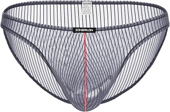Mens See Through Briefs Sexy Low Rise Underwear Mesh Breathable Stripe Panties for Man