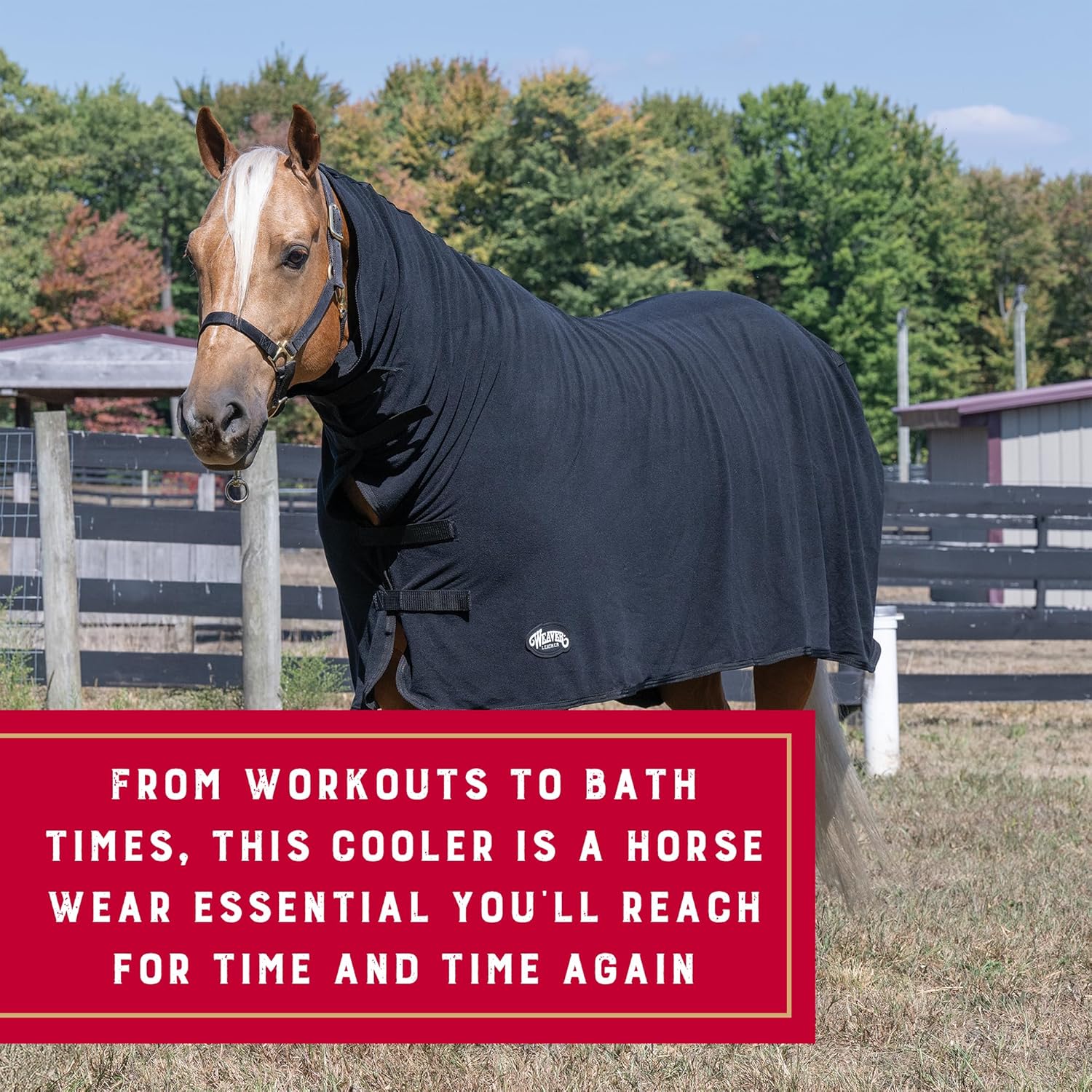Weaver Equine Fitted Polar Horse Fleece Cooler, Moisture-Wicking Horse Fleece Blanket, Lightweight Protective Equestrian Gear, 74" x 90", Black