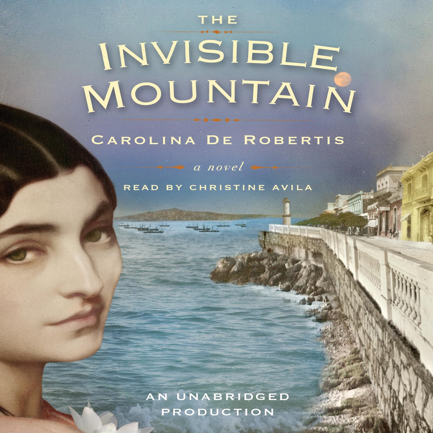 Cover art for The Invisible Mountain