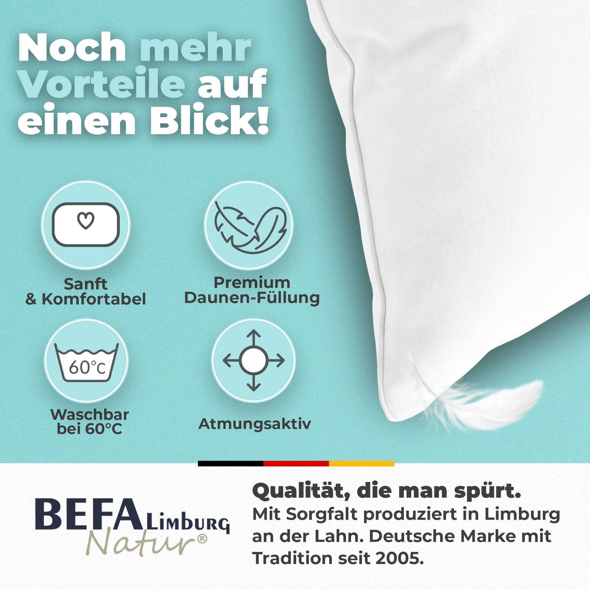 BEFA NATUR Made in Germany Feder/Daunenkissen 40x80 cm aus 15% Daunen und 85% Federn, Allergiker geeignet (Nomite), Öko-Text 100 Klasse 1 Zertifiziert, EN Standart 12934, Downpass